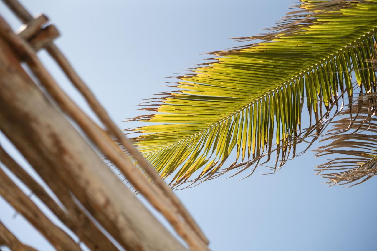 Casa Hayhu Hotel Mahahual Luaran gambar