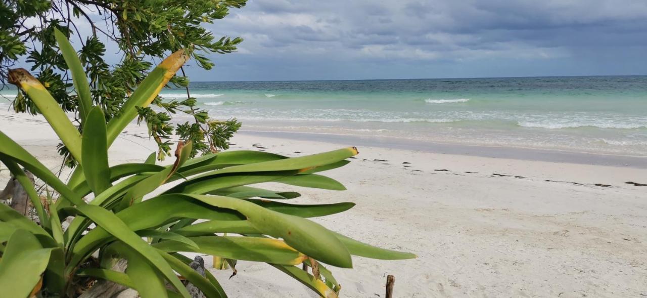Casa Hayhu Hotel Mahahual Luaran gambar
